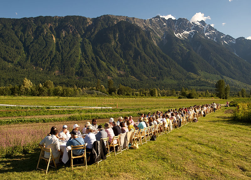 Outstanding in the Field dinner hosted at the North Arm Farm. Pemberton BC, Canada